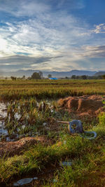 Scenic view of field against sky