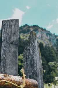 Close-up of leaf against sky