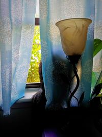 Close-up of potted plant by window at home