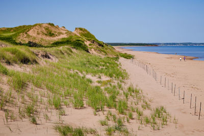 Scenic view of beach