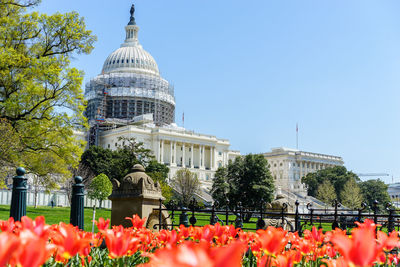 Flowers in garden with us state capitol building in background