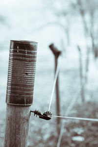 Close-up of dragonfly on metal