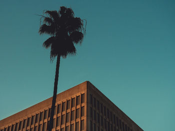 Low angle view of coconut palm tree against blue sky