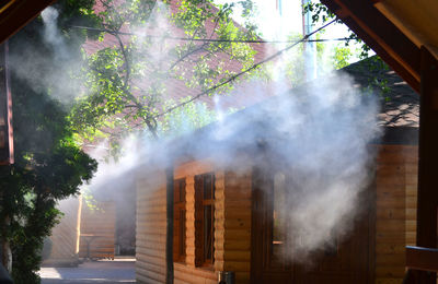 Smoke emitting from tree by building