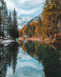 Reflection of trees on lake braies during autumn