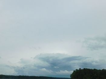 Low angle view of trees against sky