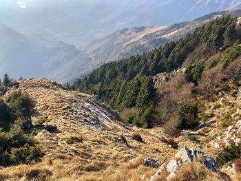 Monte pizzoc, treviso, veneto, italy. 