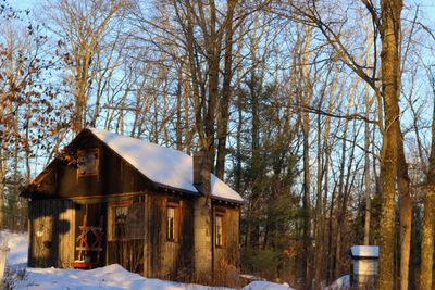 Houses by bare trees during winter