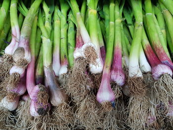 High angle view of vegetables for sale in market