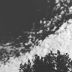 Low angle view of silhouette trees against sky