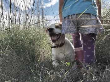 Low section of girl with dog on grassy field