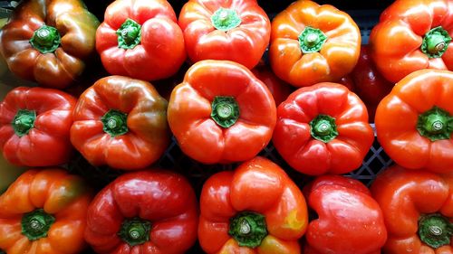 Full frame shot of red bell peppers at market for sale