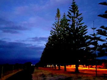 Silhouette trees against sky at night