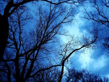 Low angle view of silhouette bare trees against blue sky