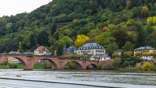 Arch bridge over river by trees against mountain