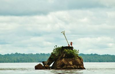 Person on tree by sea against sky