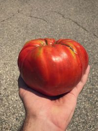 Close-up of hand holding apple