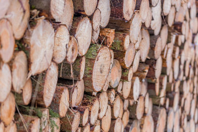 Full frame shot of logs