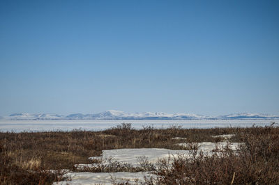Scenic view of snowcapped landscape against clear blue sky