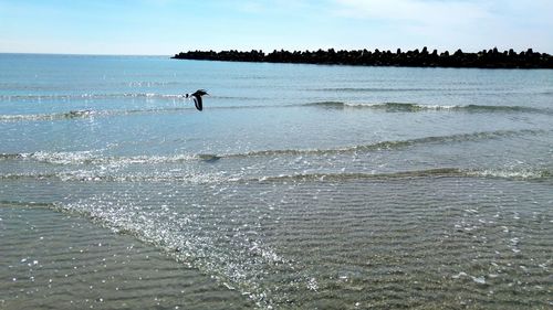 Silhouette man on beach against sky