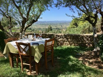 Chairs and tables on dining table against trees