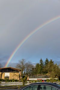 Scenic view of rainbow over trees against sky