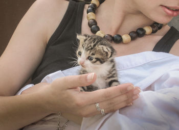 Cropped image of woman holding kitten