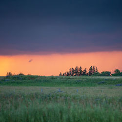 Scenic view of field against sky during sunset