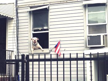 Bird perching on railing