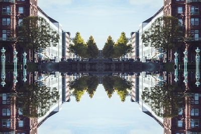 Reflection of trees in water