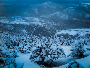 Scenic view of snow covered landscape