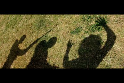 Shadow of couple on grass