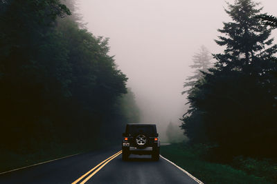 Vehicle on road amidst trees during foggy weather