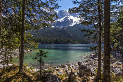 Scenic view of lake by trees against sky