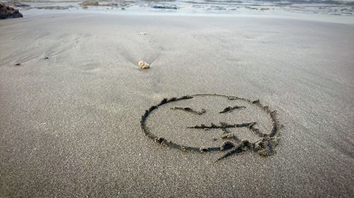 Footprints on sandy beach