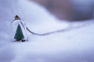 Christmas tree locket on snow