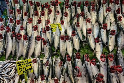 Full frame shot of fish for sale in market