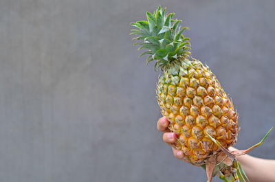 Close-up of hand holding fruit