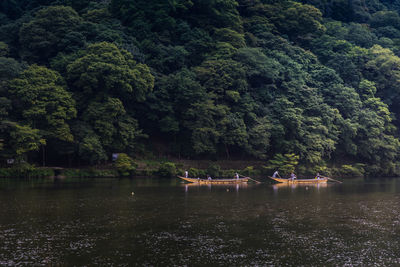 Scenic view of lake in forest