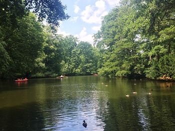 Scenic view of lake