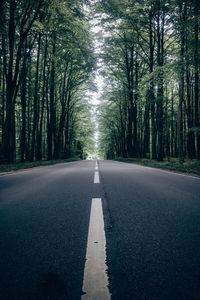 Empty road amidst trees in forest