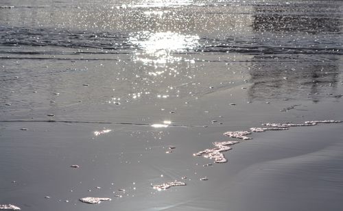 High angle view of beach