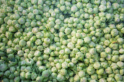 Full frame shot of fruits for sale in market