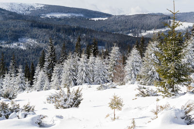 Scenic view of snow covered mountains