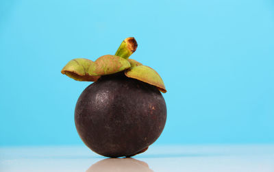 Close-up of fruit against white background