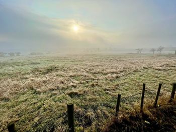 Scenic view of field against sky
