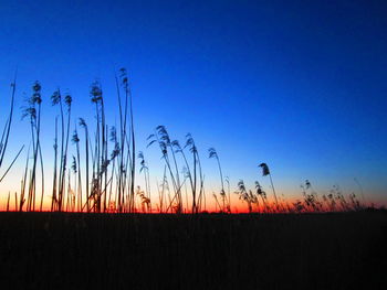 Silhouette landscape against clear sky during sunset