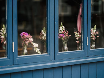 Close-up of flower pot against window