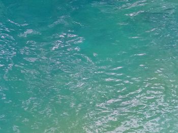 High angle view of swimming pool