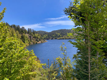 Scenic view of lake against blue sky